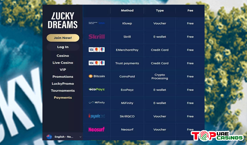 Payment methods at Lucky Dreams 