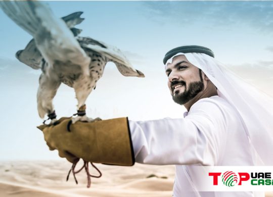 why is falconry important in UAE