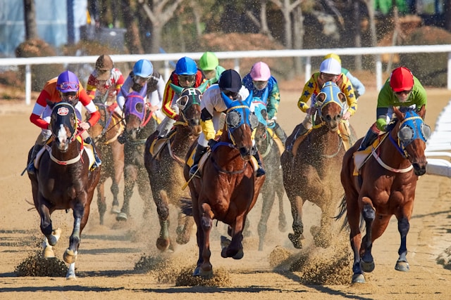 can you gamble at Dubai racecourse?