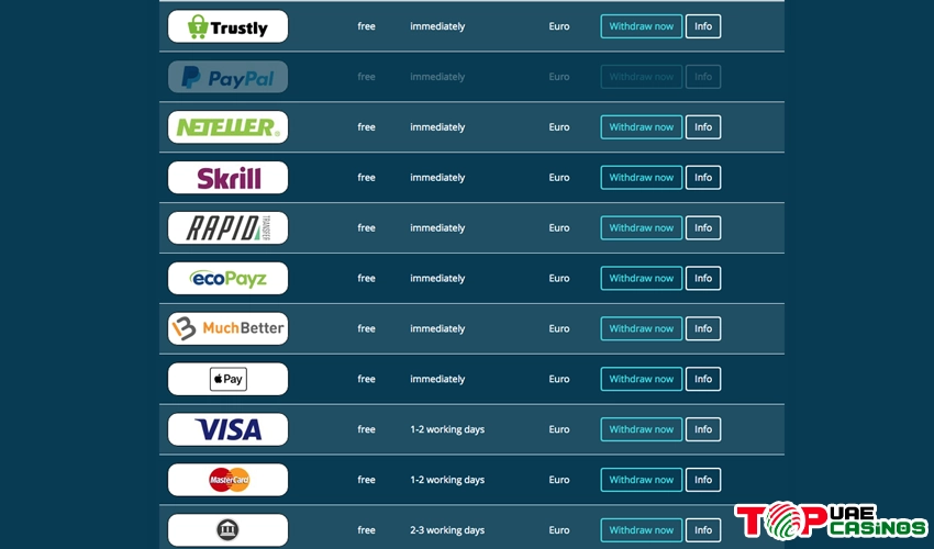 What Payment Methods are Available at Platin Casino